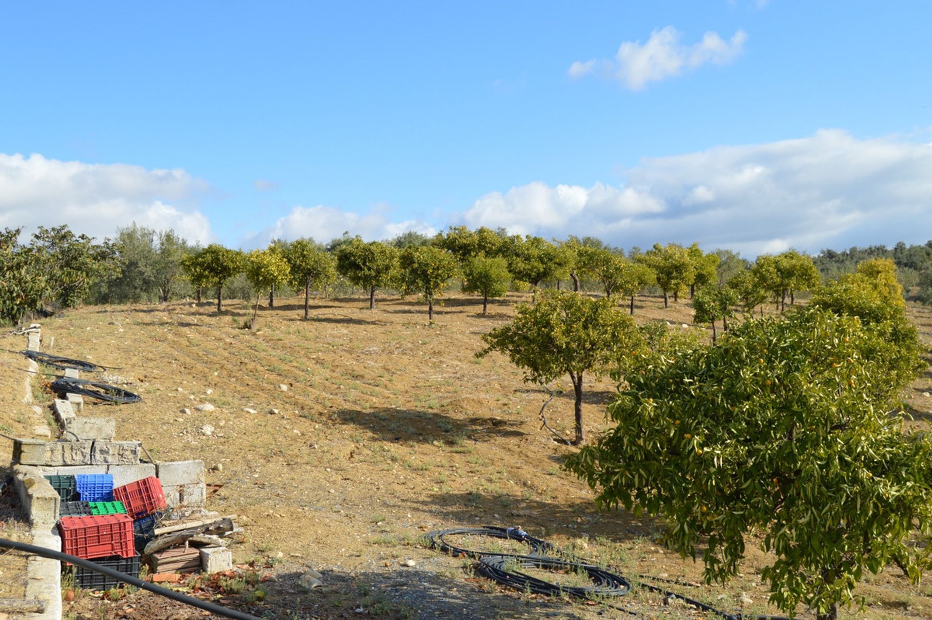 Talo sisään Álora, Andalucía 10716098