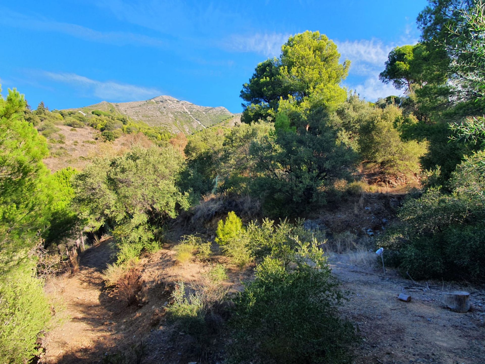 casa en Mijas, Andalucía 10716105