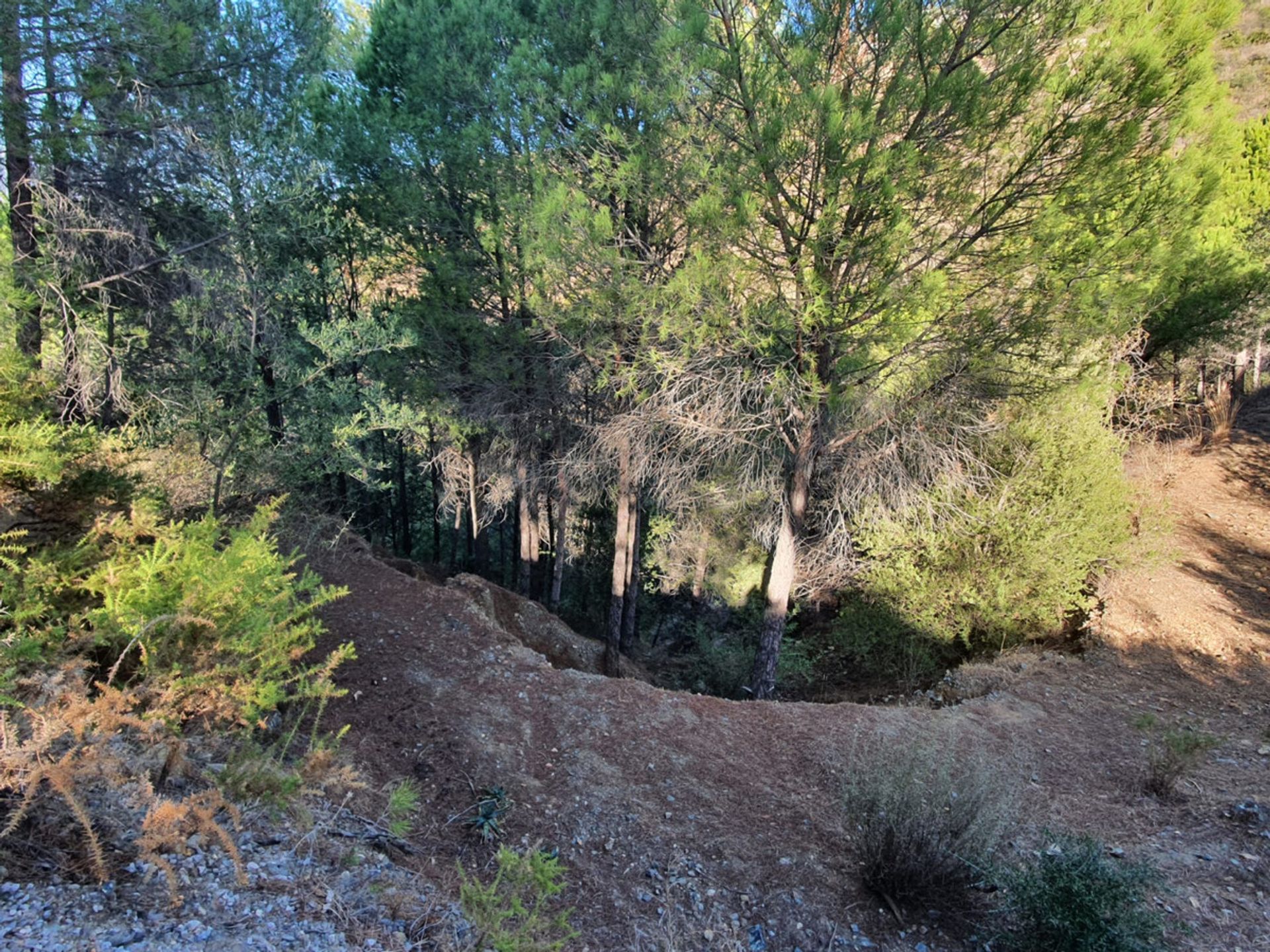 casa en Mijas, Andalucía 10716105