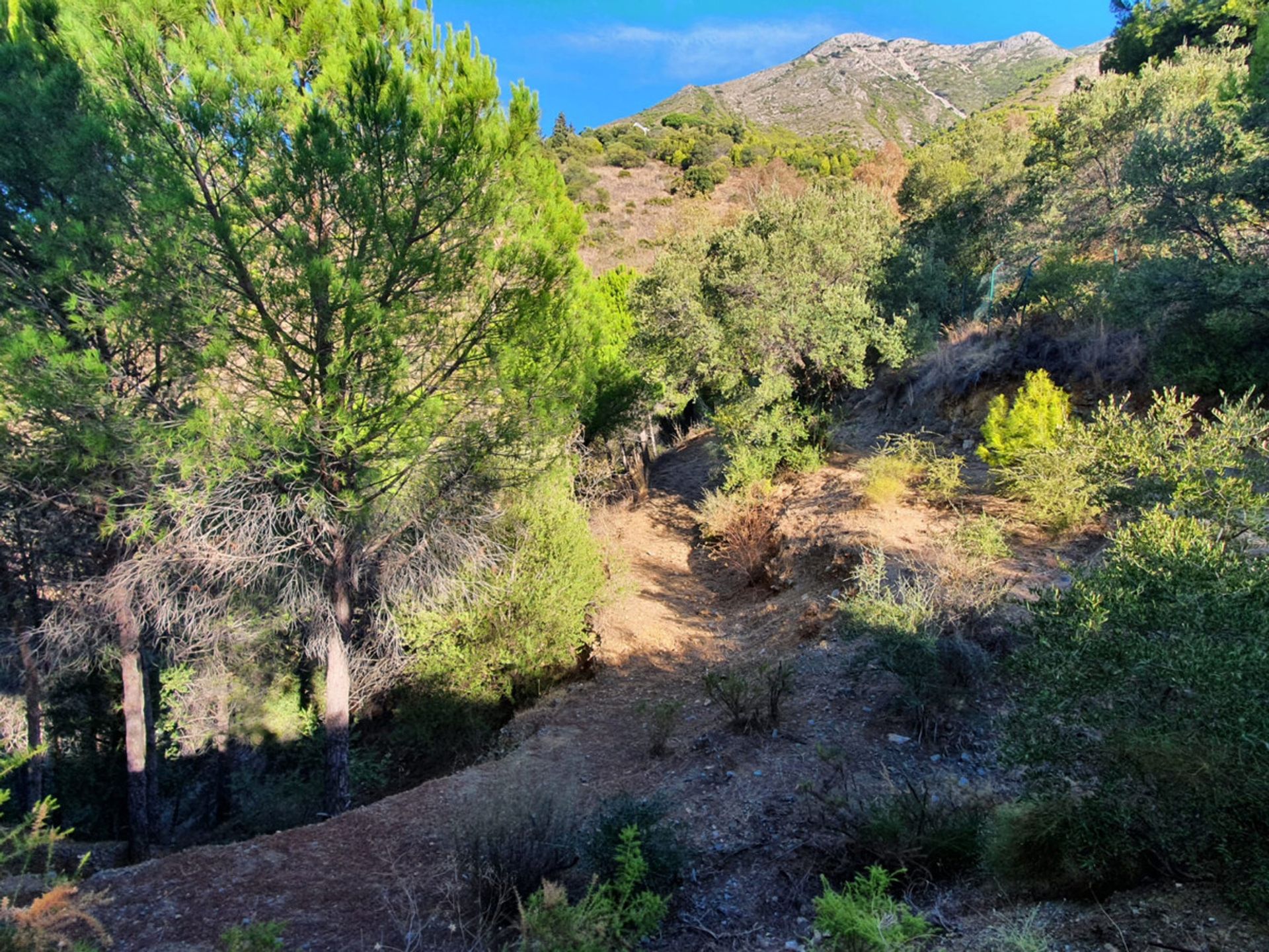 casa en Mijas, Andalucía 10716105