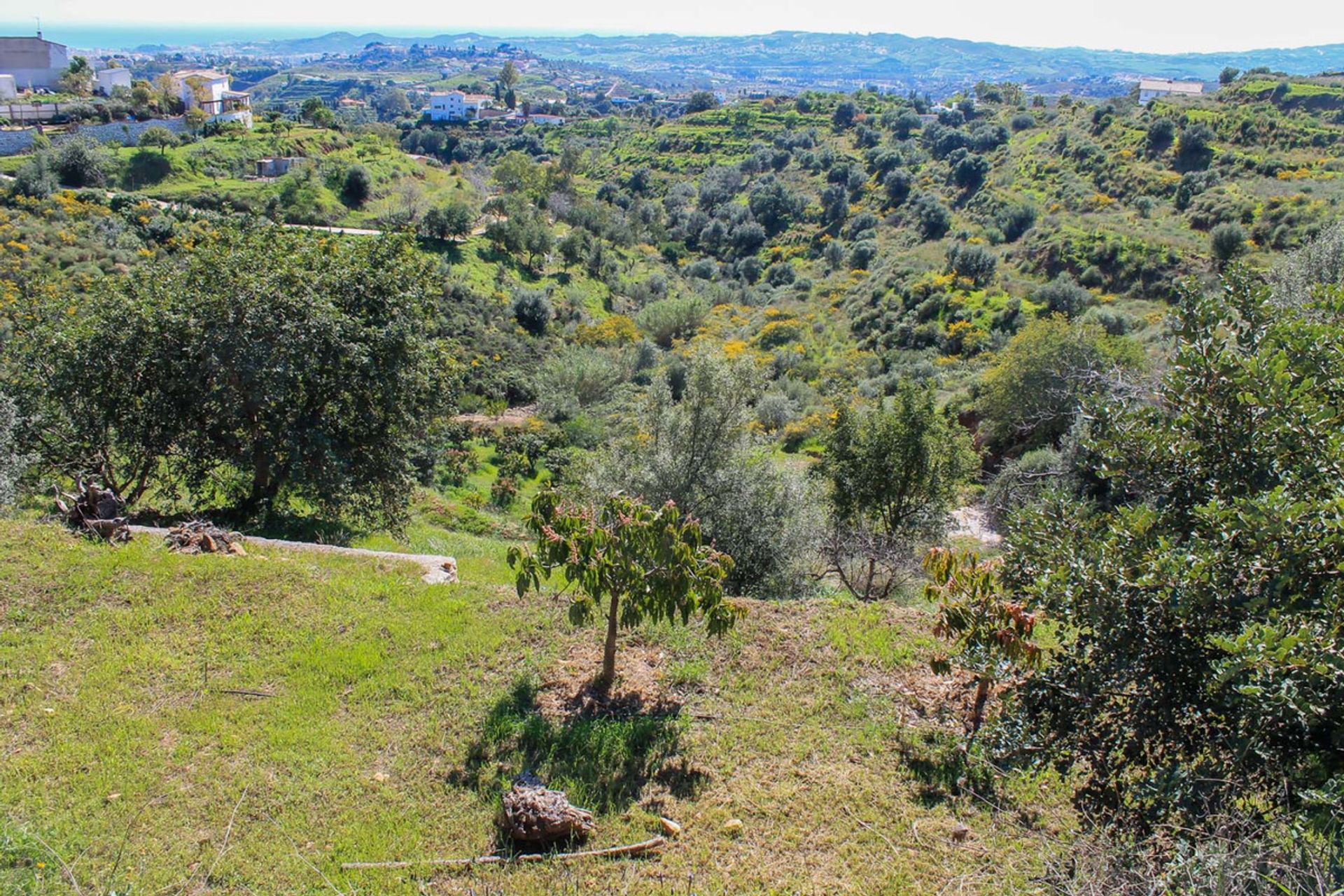 Land im Mijas, Andalucía 10716143