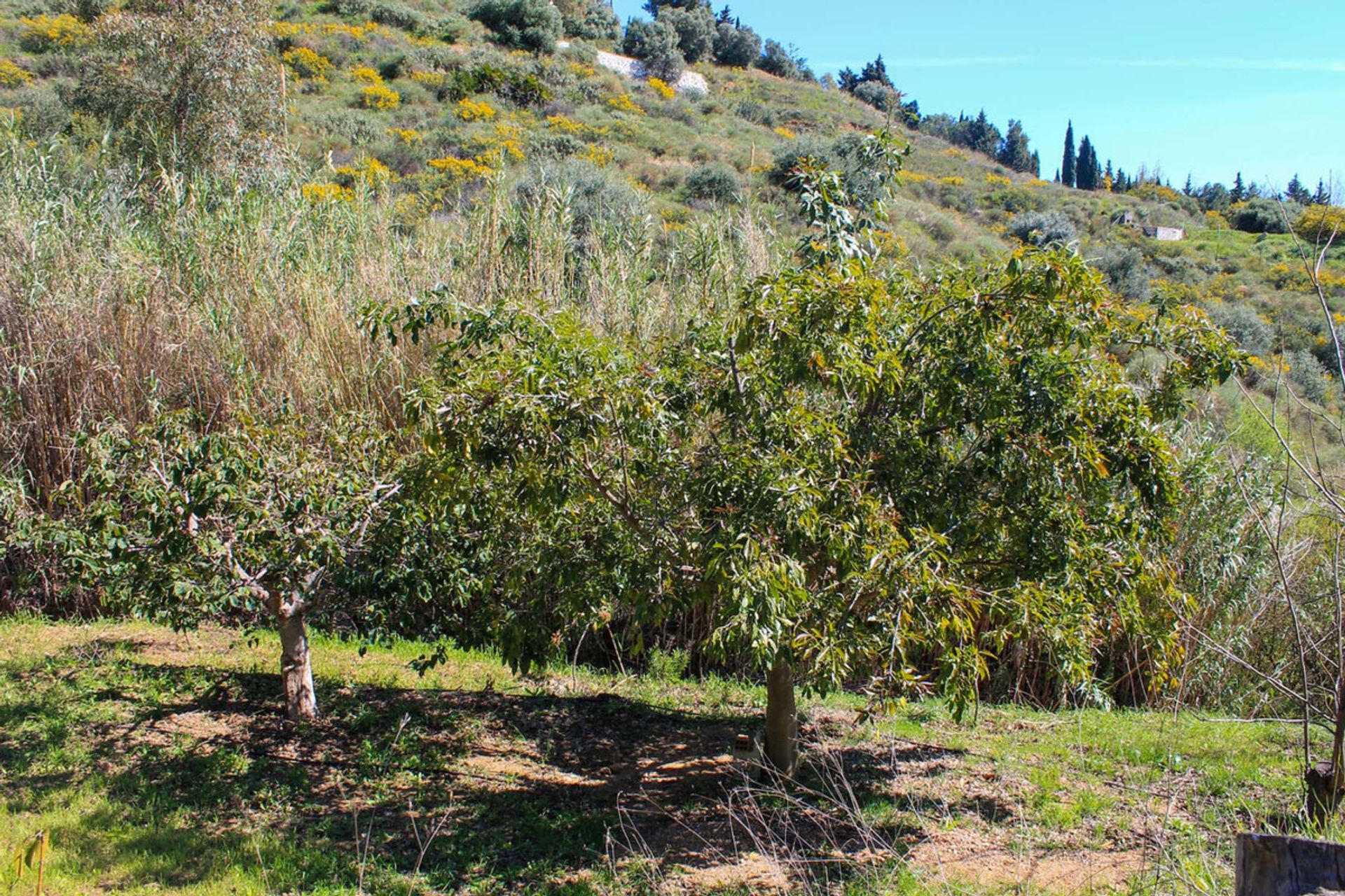 Tanah di Mijas, Andalucía 10716143