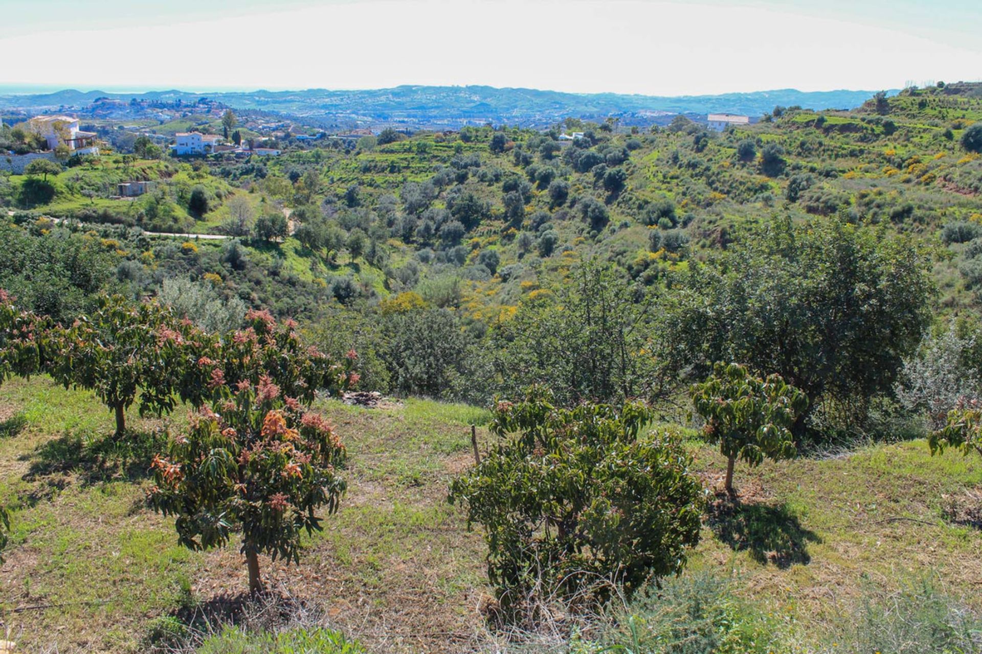 Land im Mijas, Andalucía 10716143