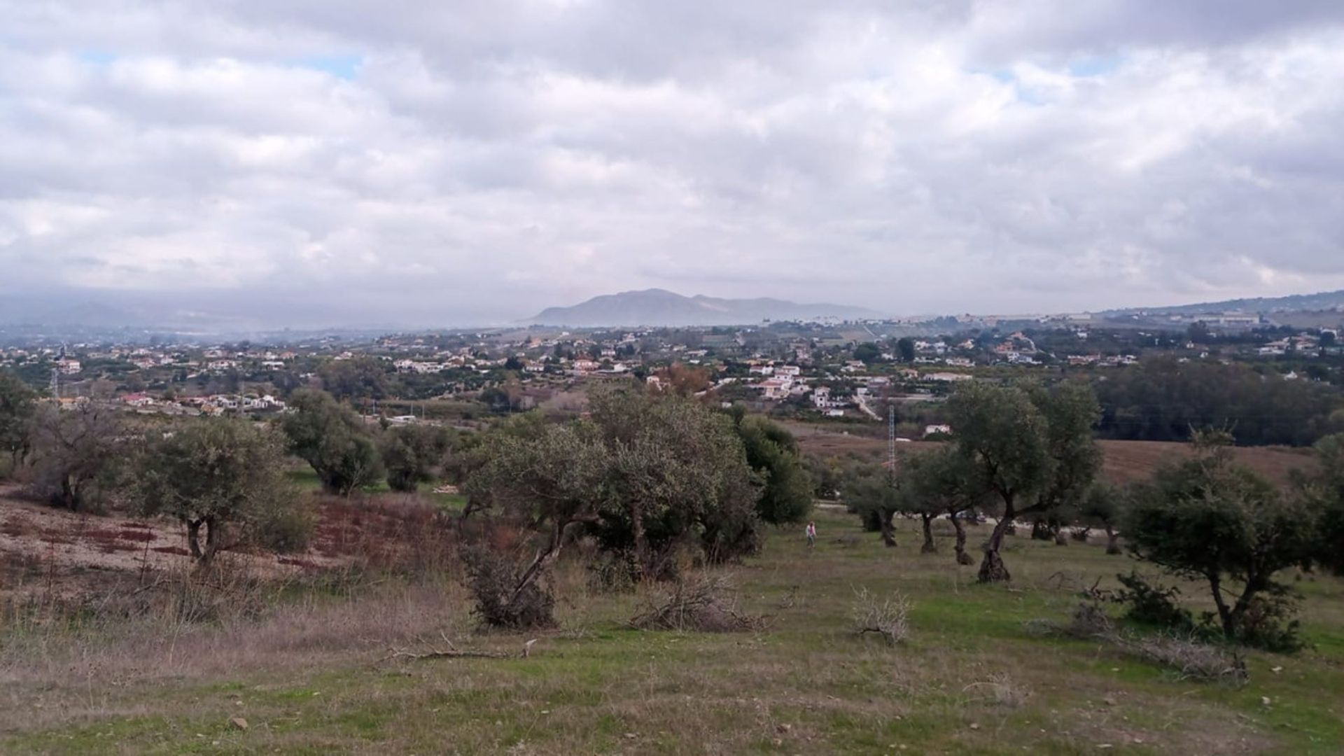 Tanah di Alhaurin el Grande, Andalusia 10716238