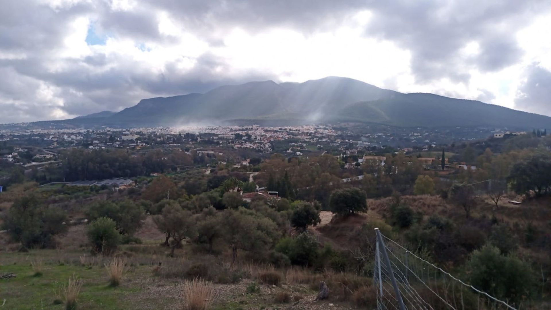 Tanah di Alhaurin el Grande, Andalusia 10716238