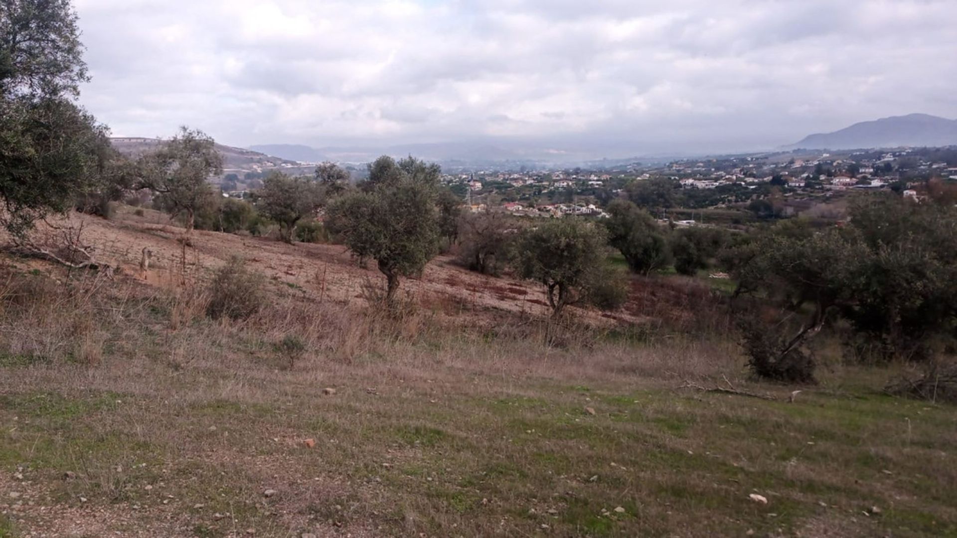 Tanah di Alhaurin el Grande, Andalusia 10716238