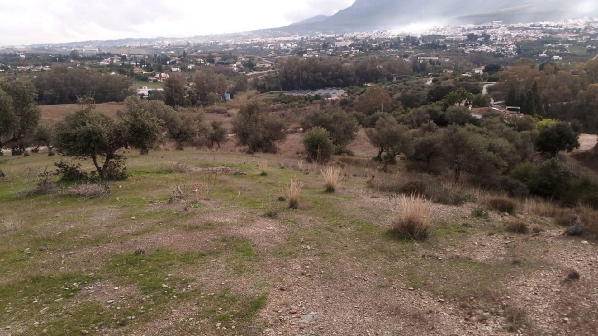 Tanah di Alhaurin el Grande, Andalusia 10716238