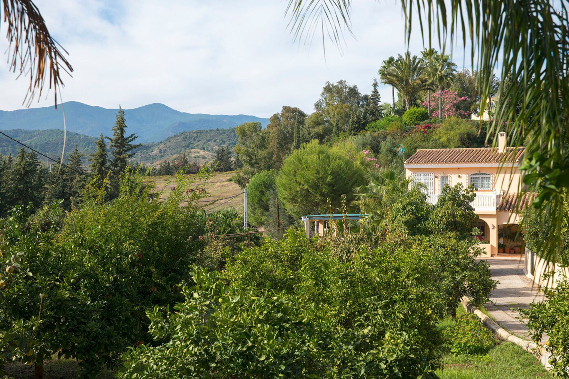 Huis in Estepona, Andalusië 10716274