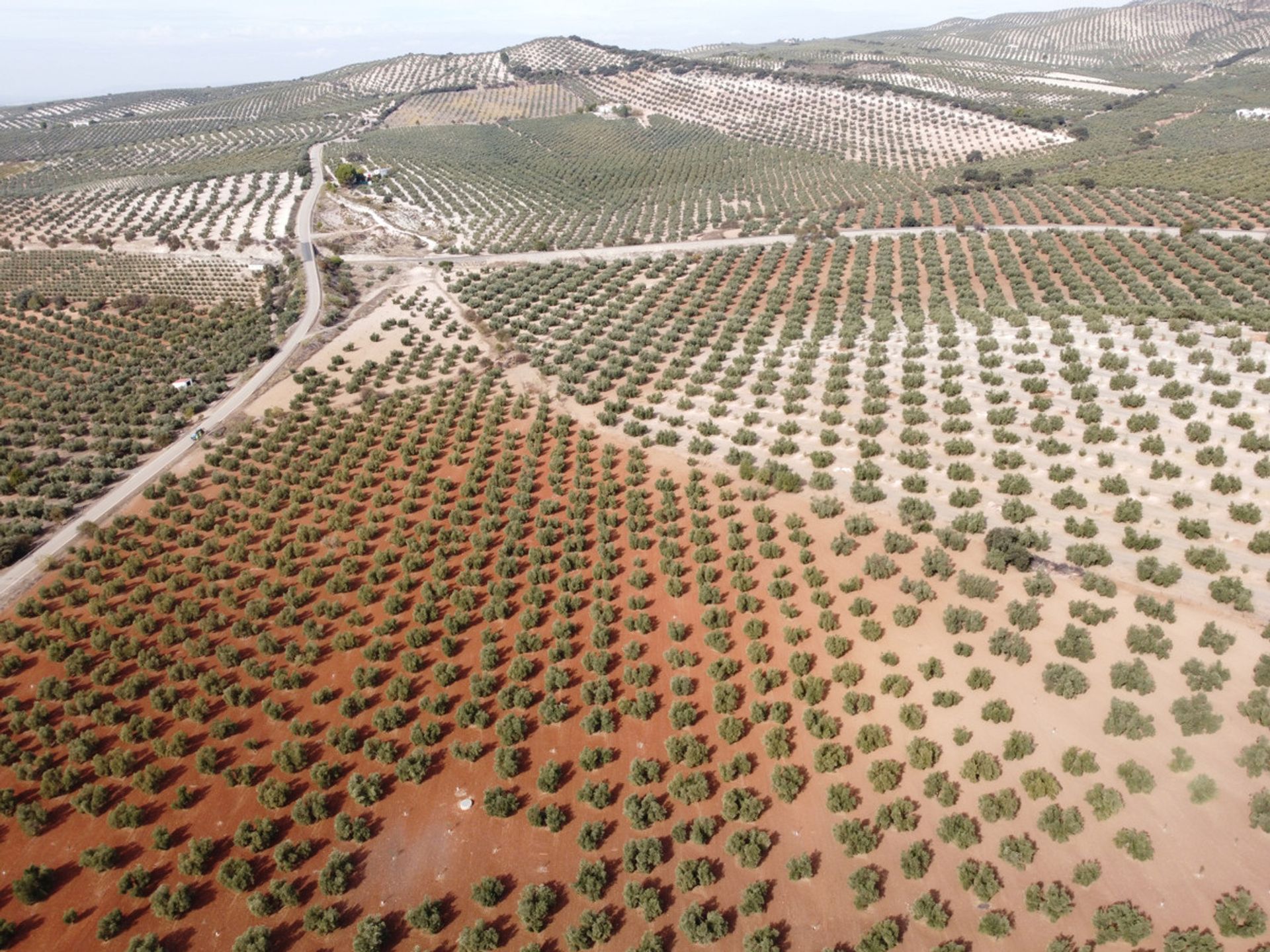 Tierra en Archidona, Andalucía 10716498