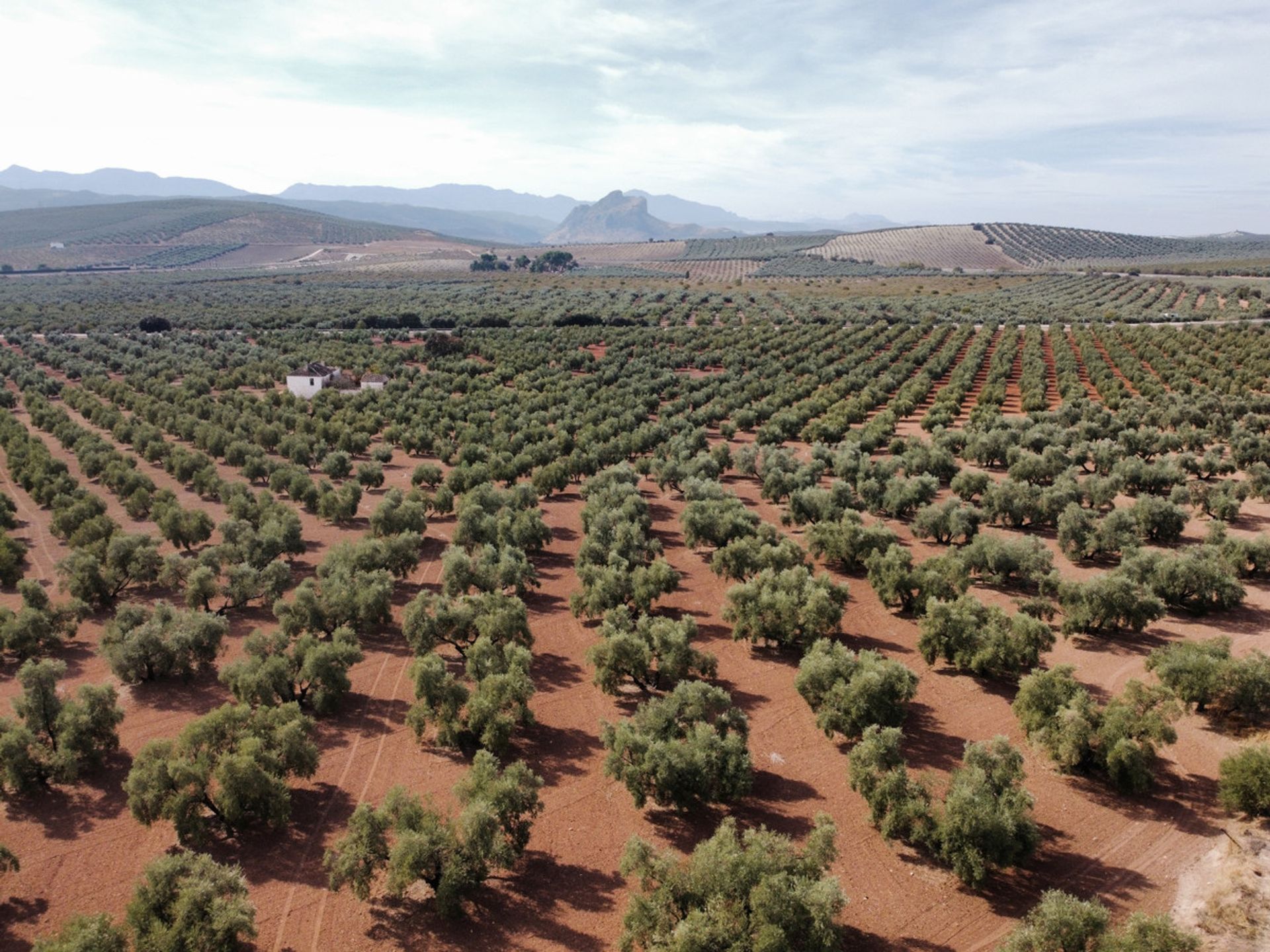 Tierra en Archidona, Andalucía 10716498