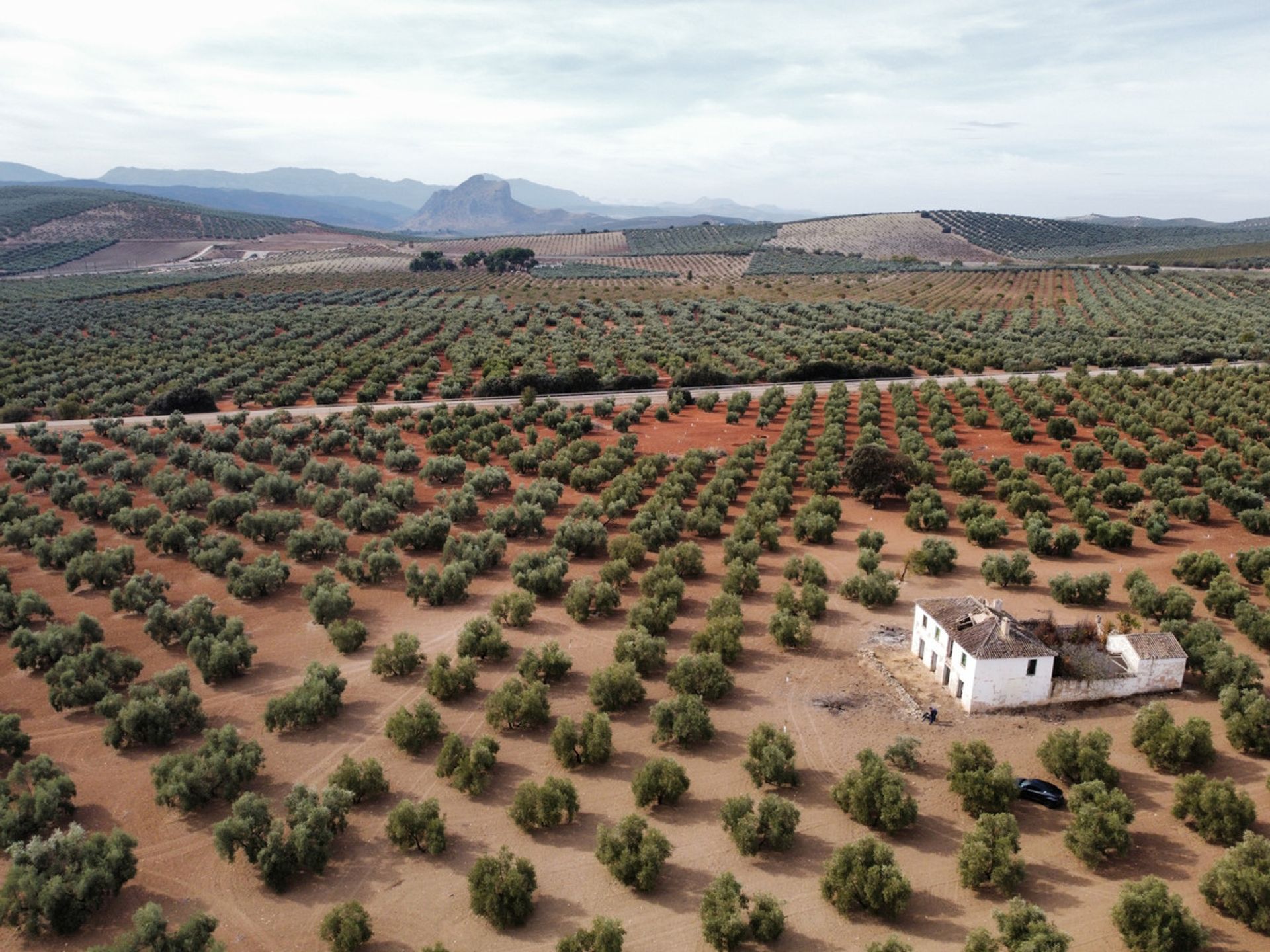 Tierra en Archidona, Andalucía 10716498