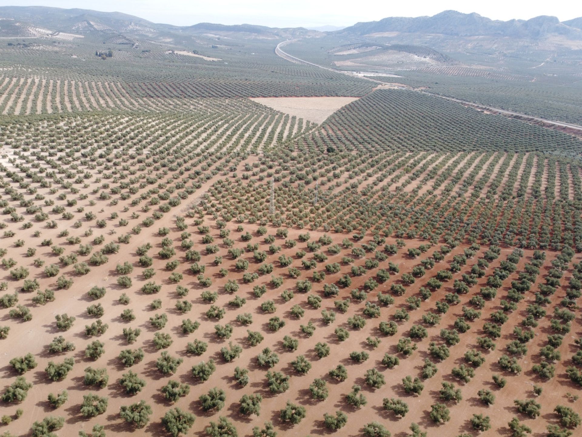 Tierra en Archidona, Andalucía 10716498