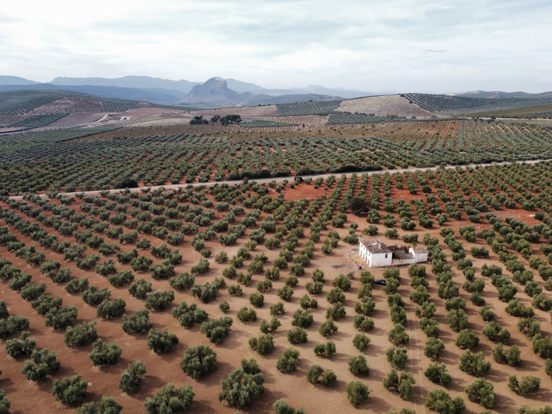 Земля в Archidona, Andalucía 10716498