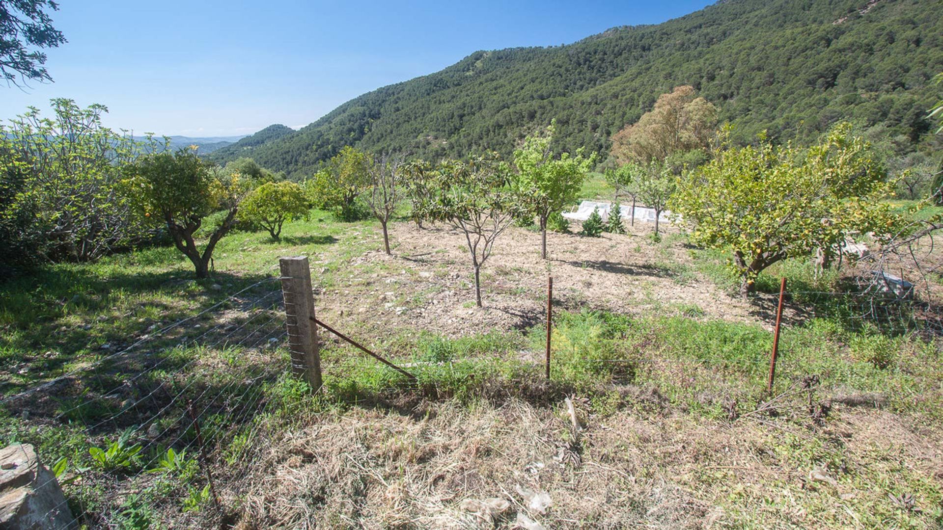 Hus i Gaucín, Andalucía 10716601