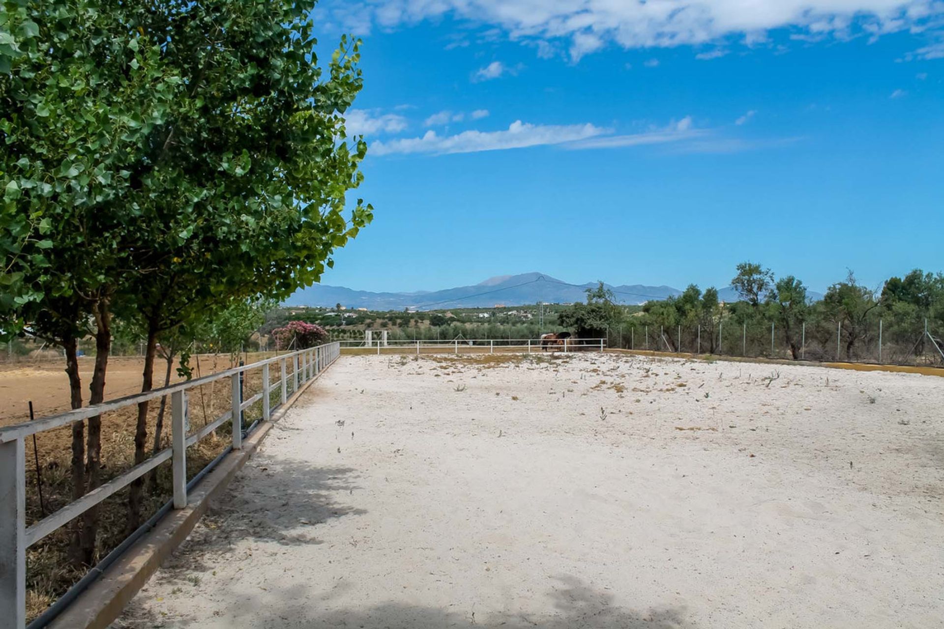 Talo sisään Alhaurín de la Torre, Andalucía 10716646