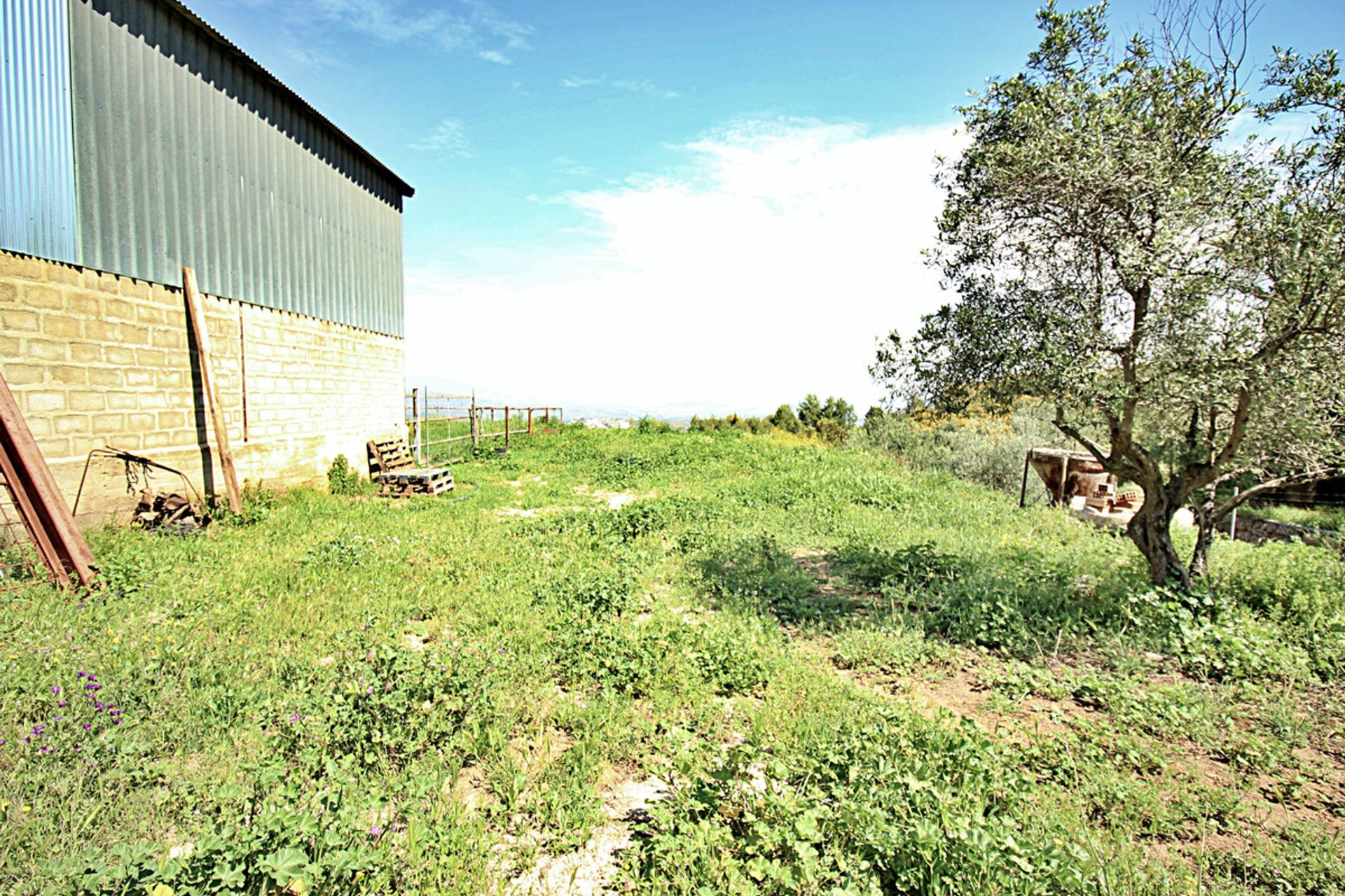 Industrial in Coin, Andalusia 10716650