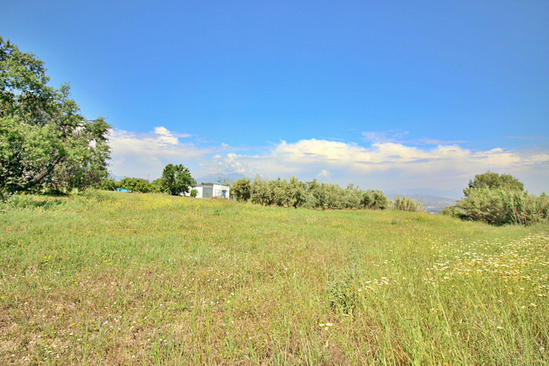 Industrial in Coin, Andalusia 10716650