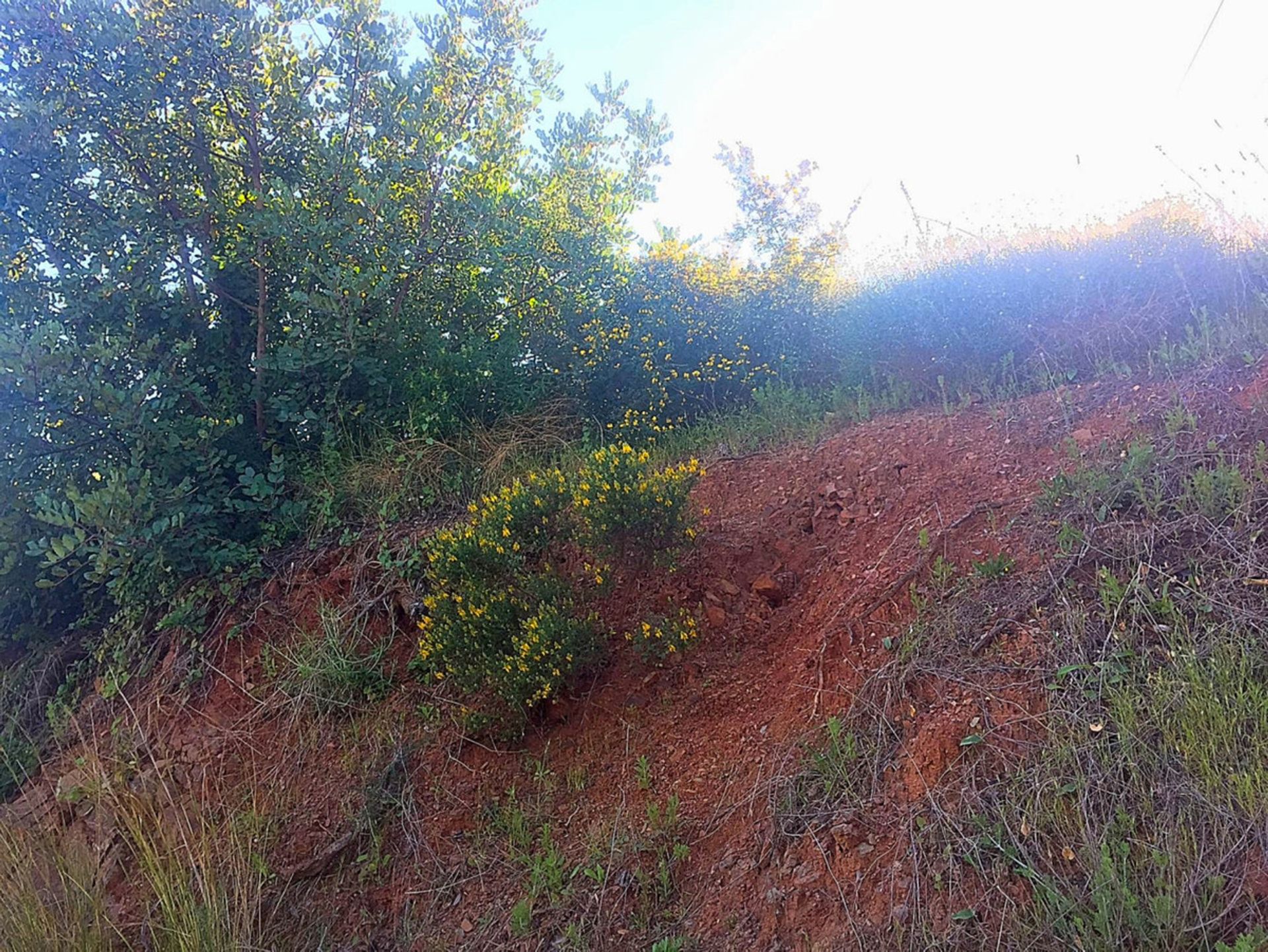 Tanah di Fuengirola, Andalucía 10716701