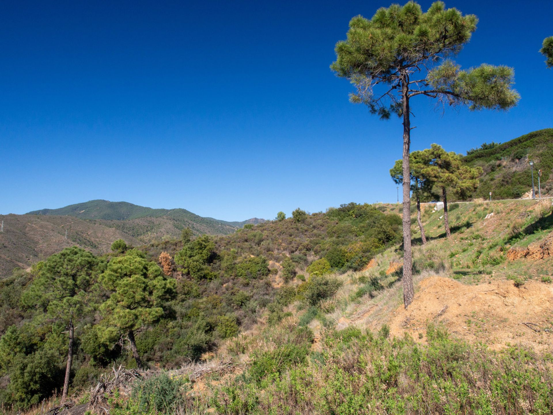 土地 在 Benahavís, Andalucía 10716721