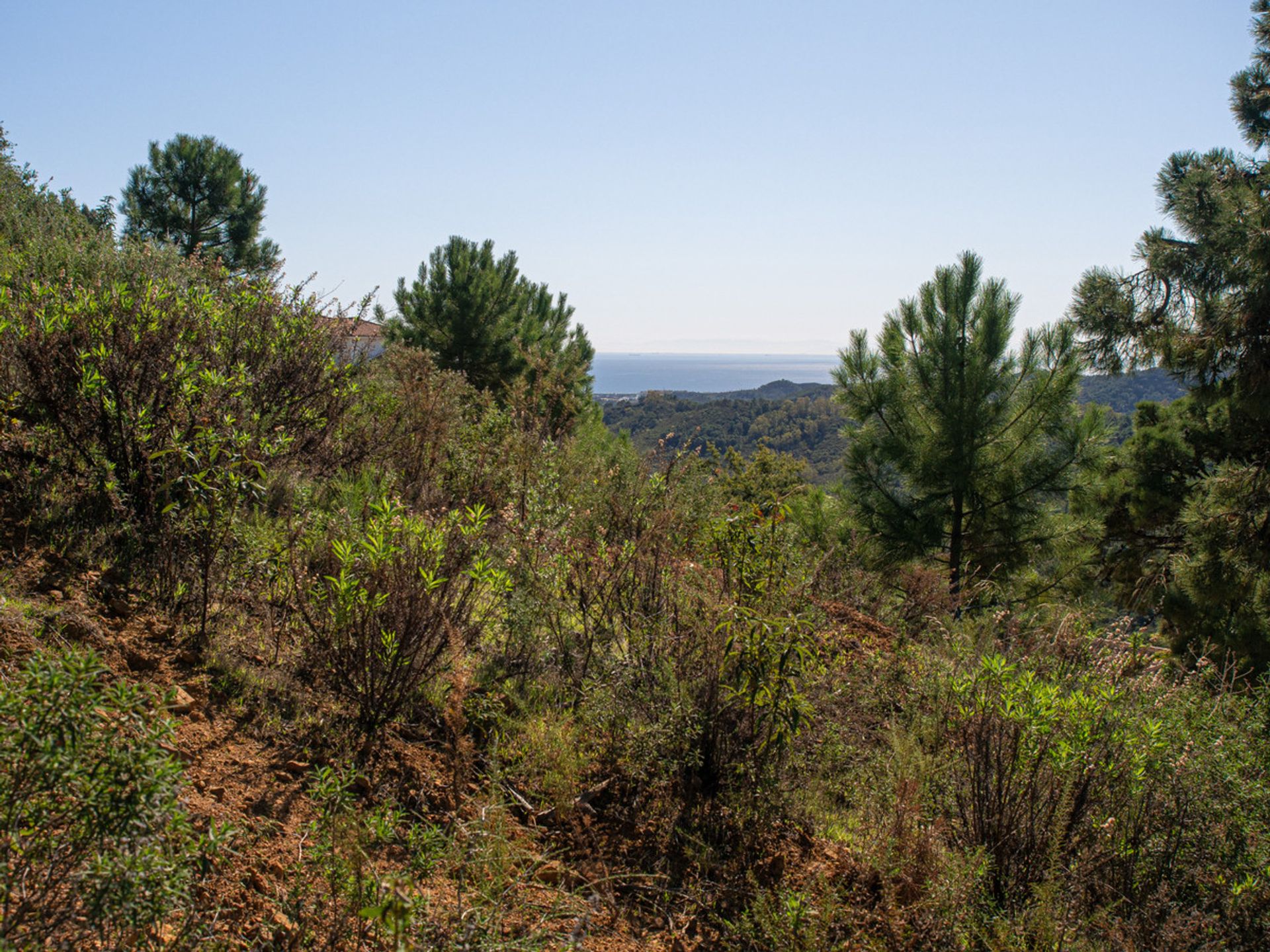 Land i Benahavis, Andalusia 10716721