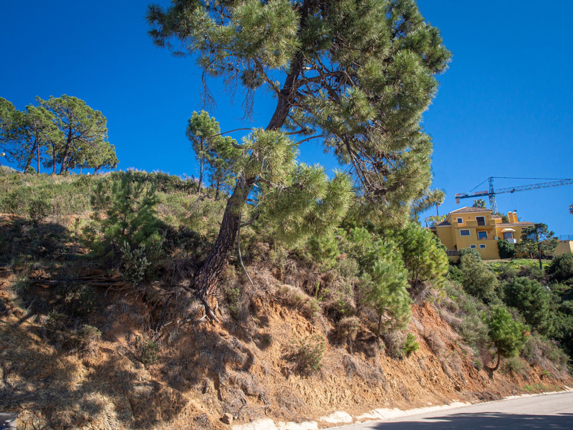 土地 在 Benahavís, Andalucía 10716721