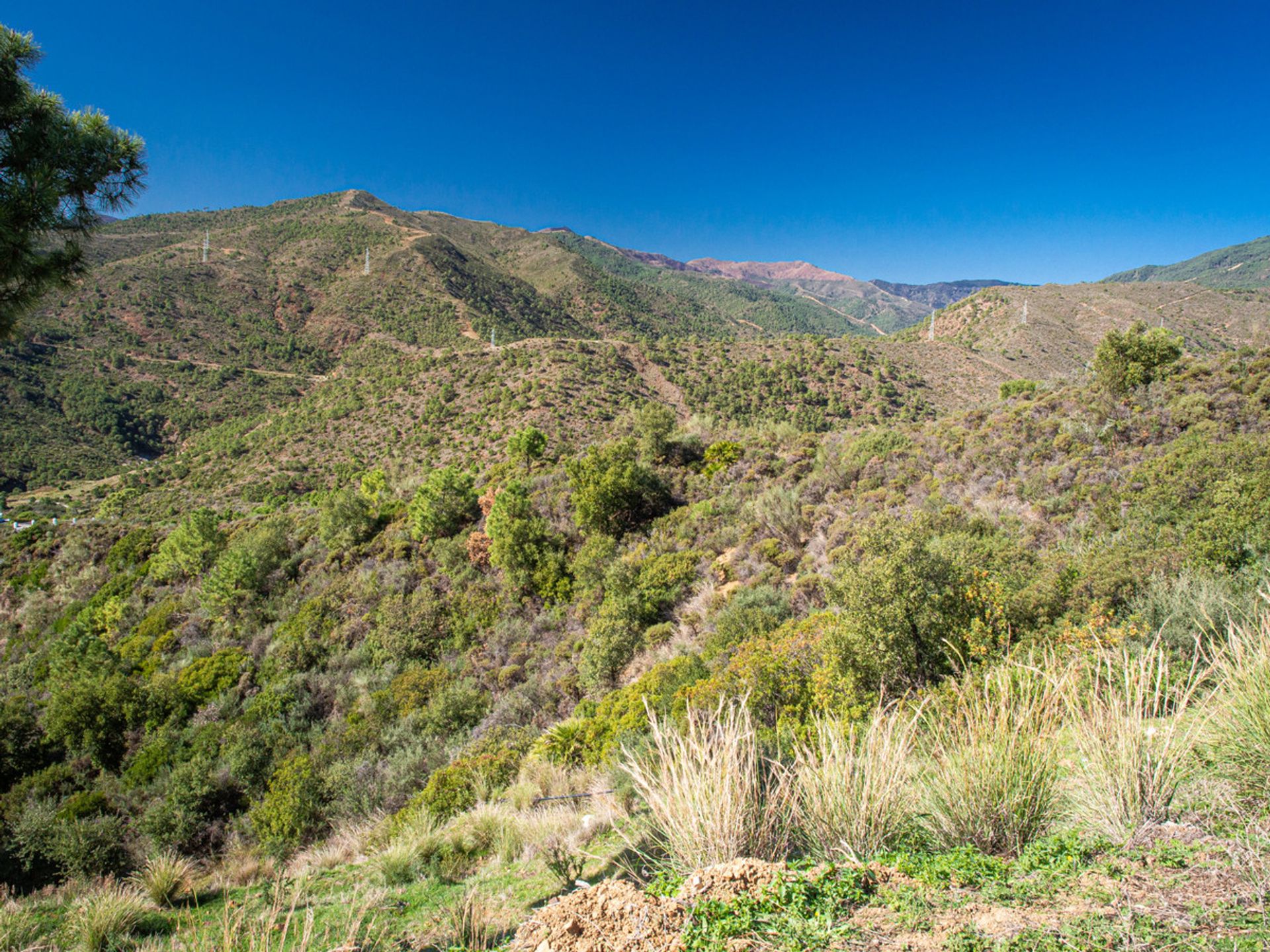 Land i Benahavis, Andalusia 10716721