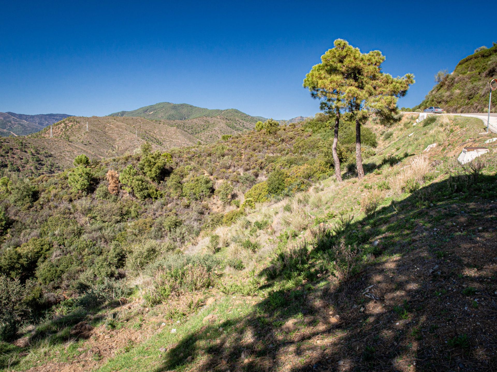 土地 在 Benahavís, Andalucía 10716721