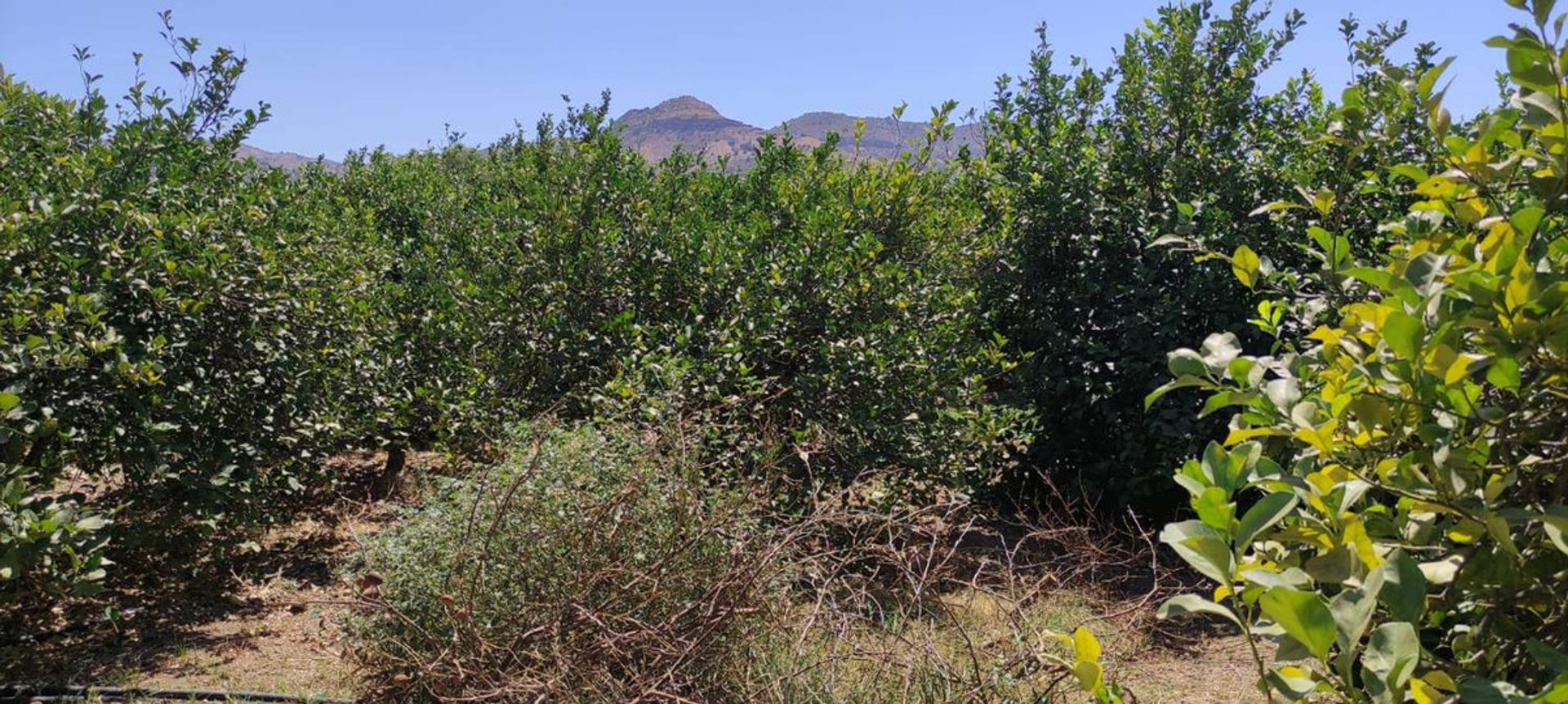 loger dans Álora, Andalucía 10716856