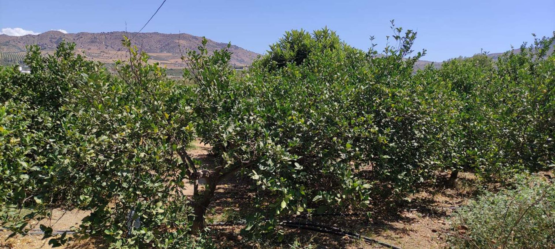 loger dans Álora, Andalucía 10716856