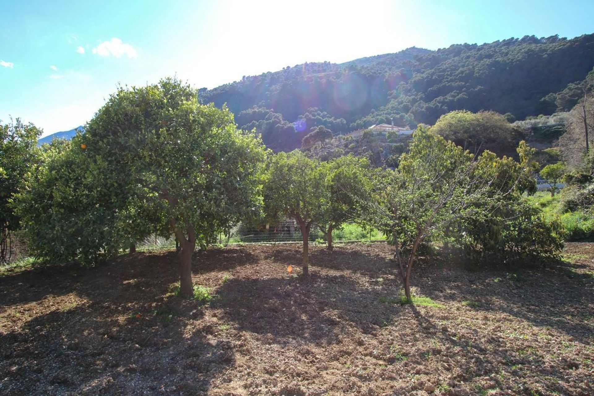 σπίτι σε Casarabonela, Andalucía 10717084