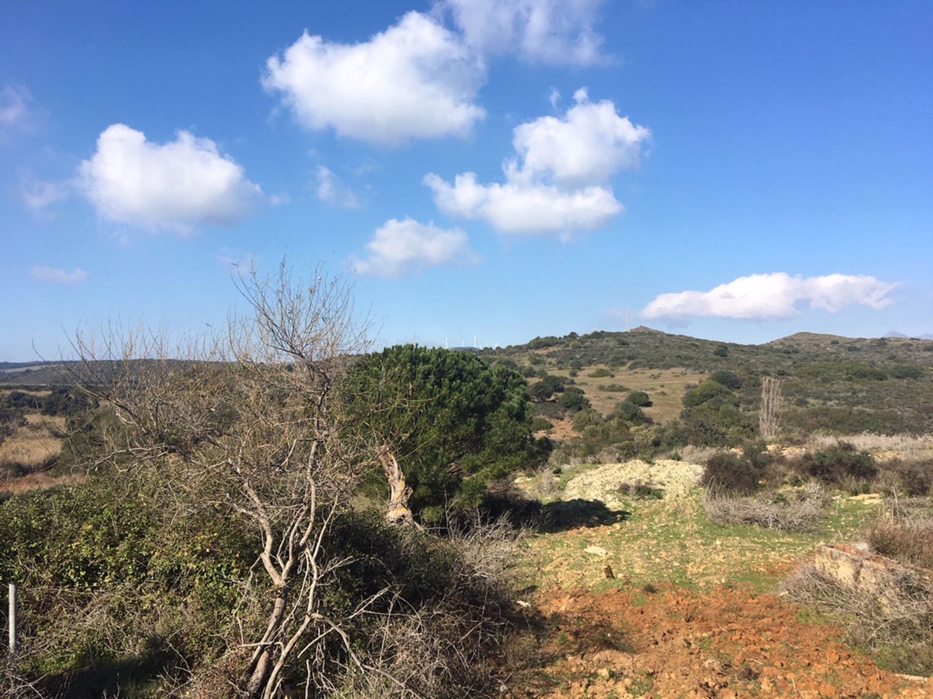 Land in Manilva, Andalucía 10717124