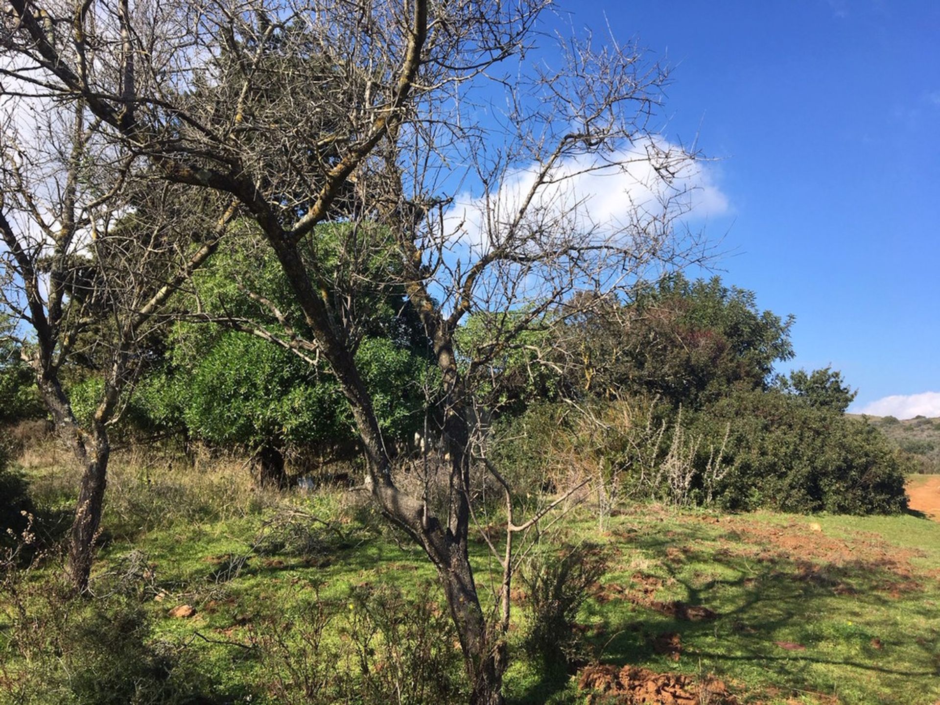 Land in Manilva, Andalucía 10717124