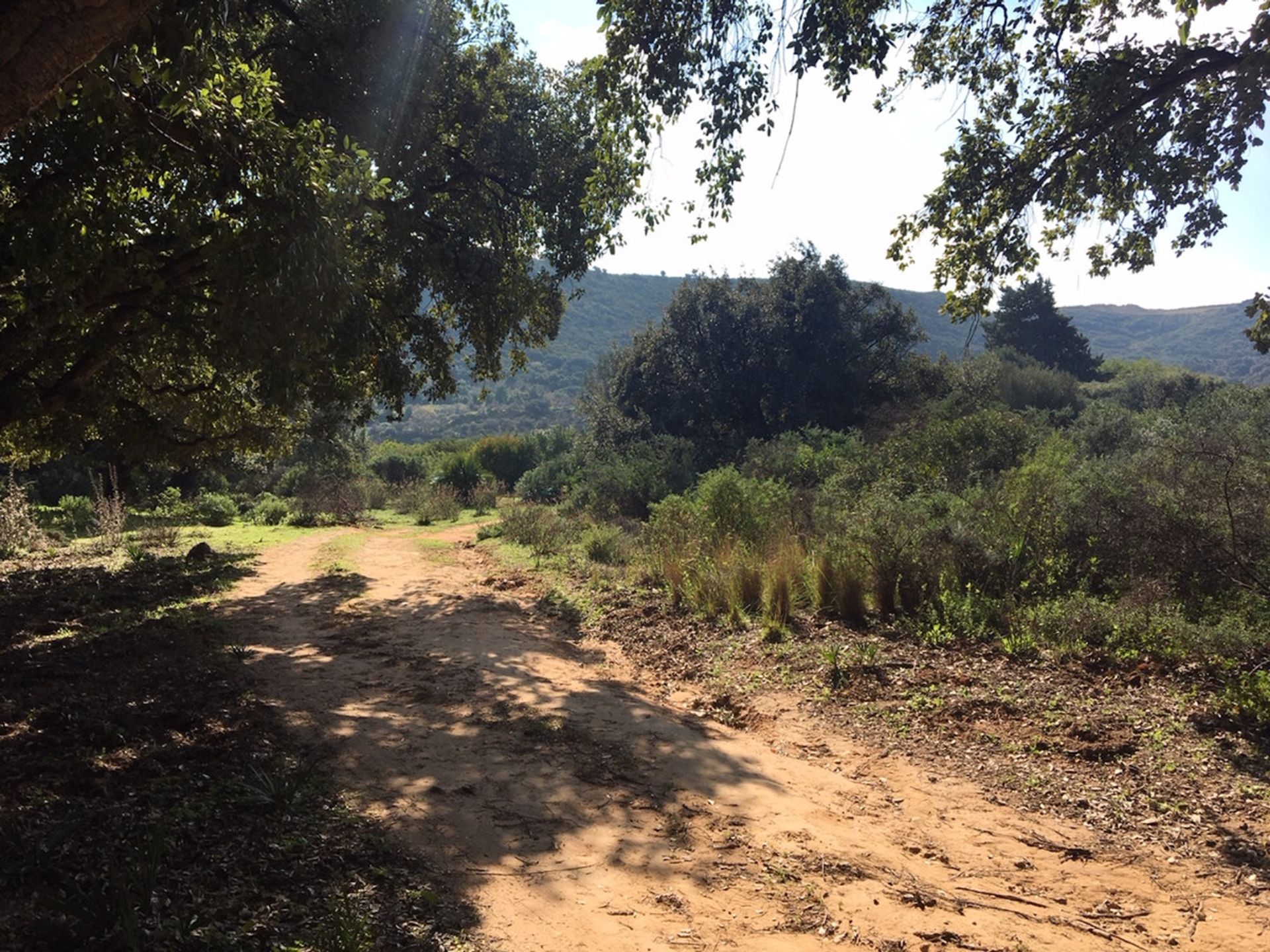 Terre dans Manilva, Andalucía 10717124