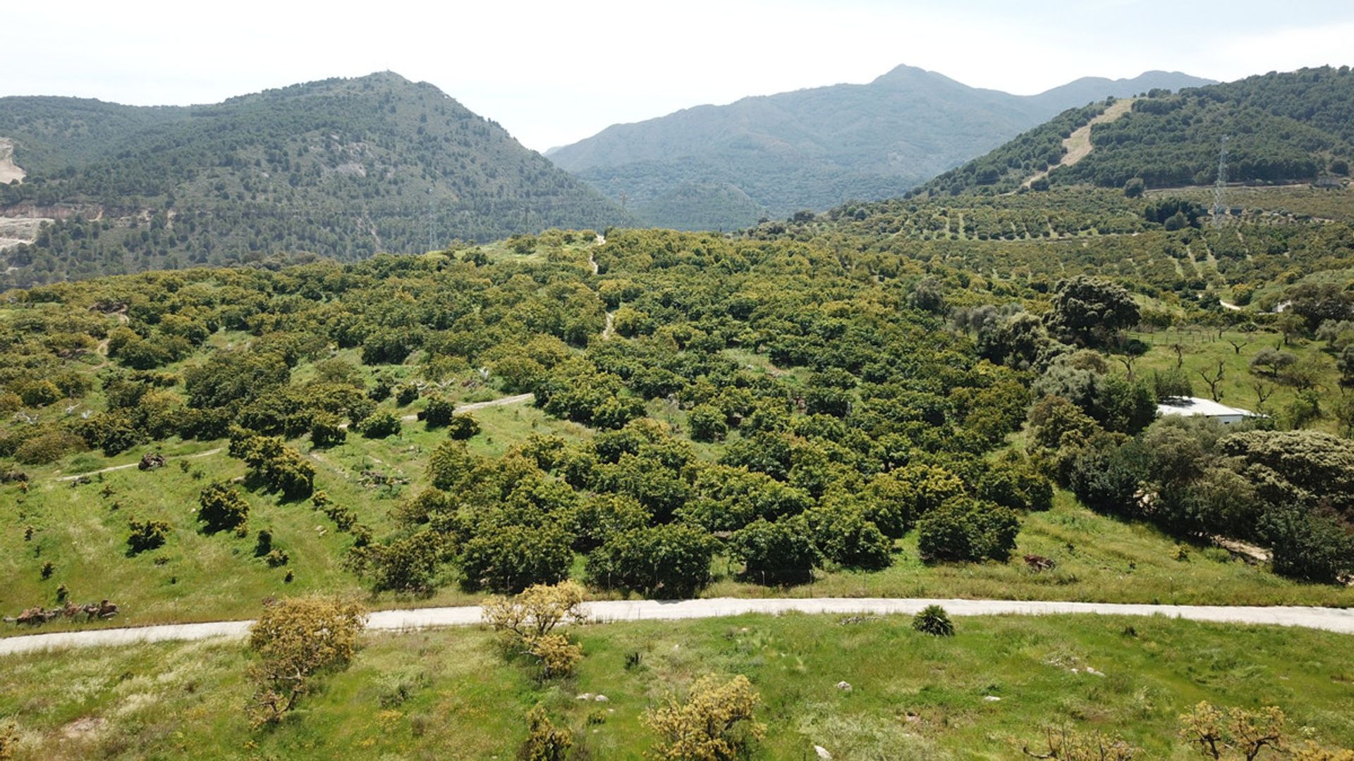 House in Coin, Andalusia 10717162