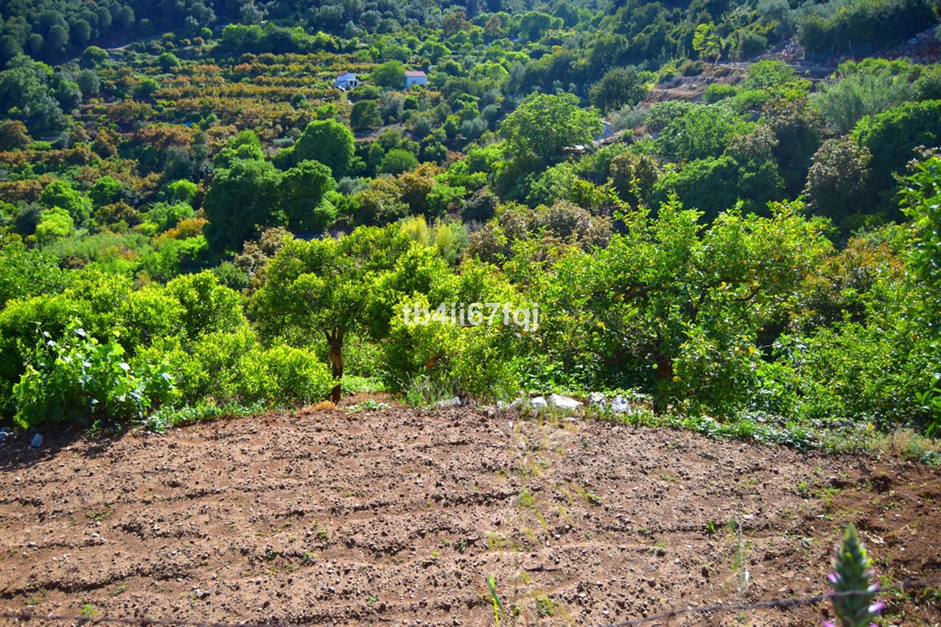 Tanah di Ojen, Andalusia 10717212