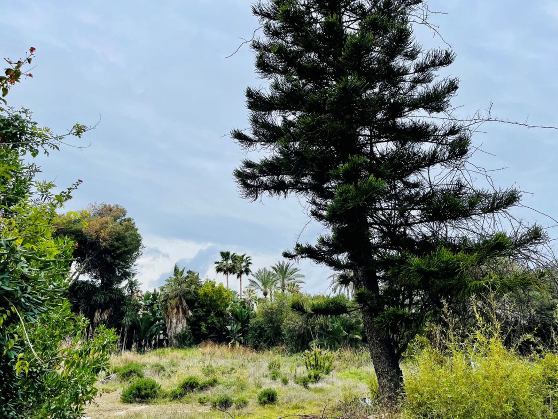 Land im Estepona, Andalucía 10717265