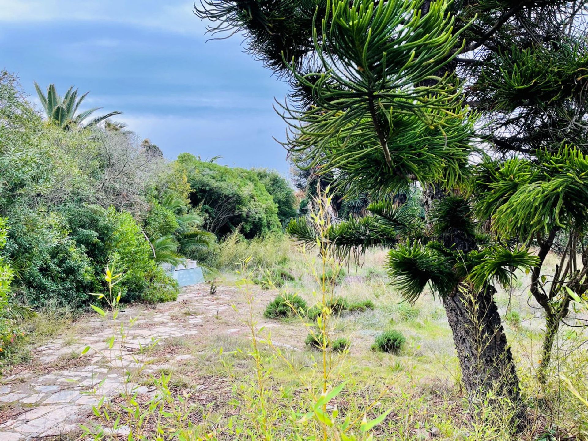 Land im Estepona, Andalucía 10717265