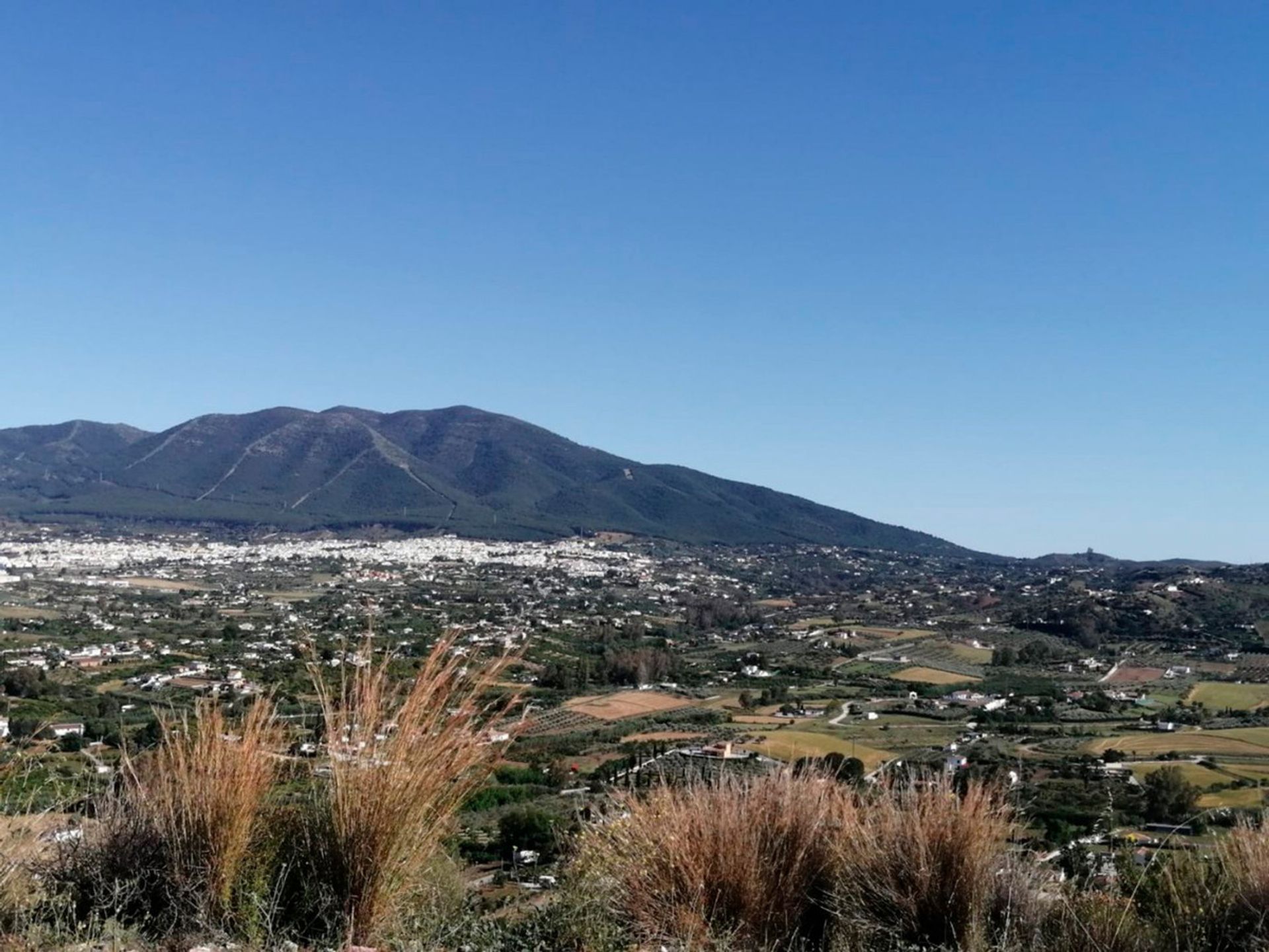 Tierra en Moneda, Andalucía 10717303