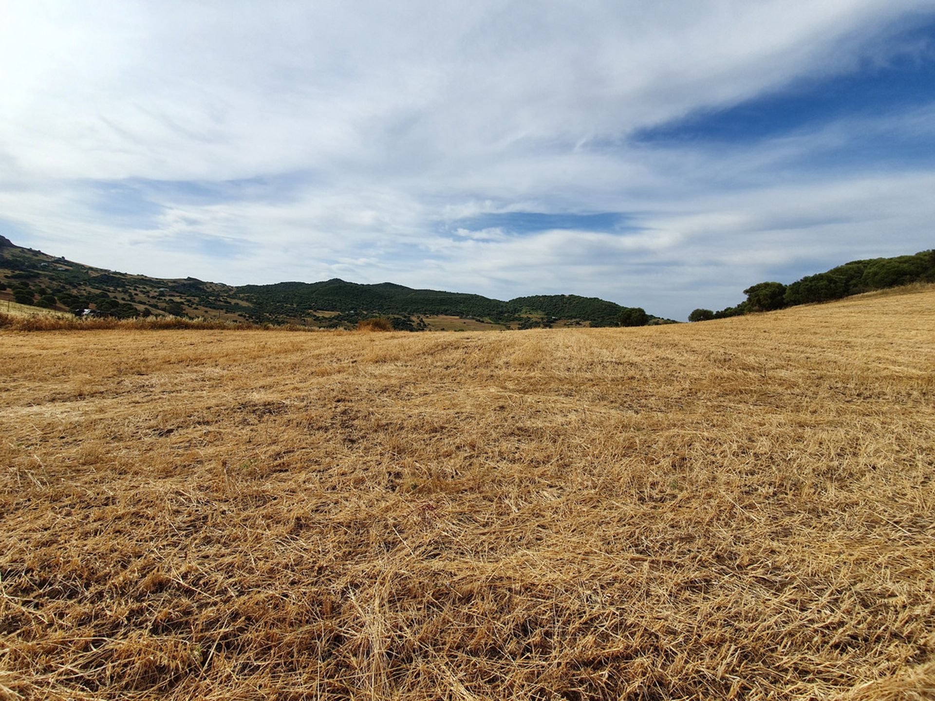 Tanah dalam Casares, Andalucía 10717304