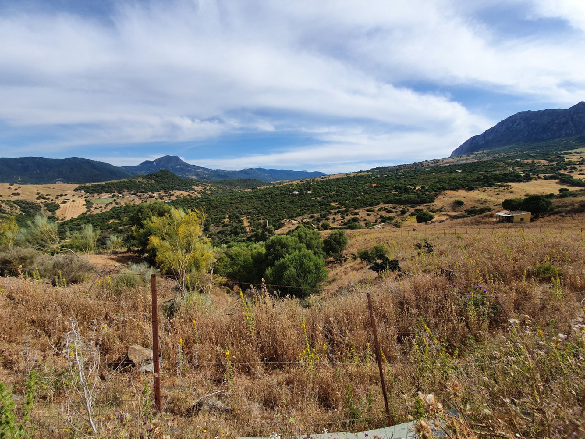 Tanah dalam Casares, Andalucía 10717304