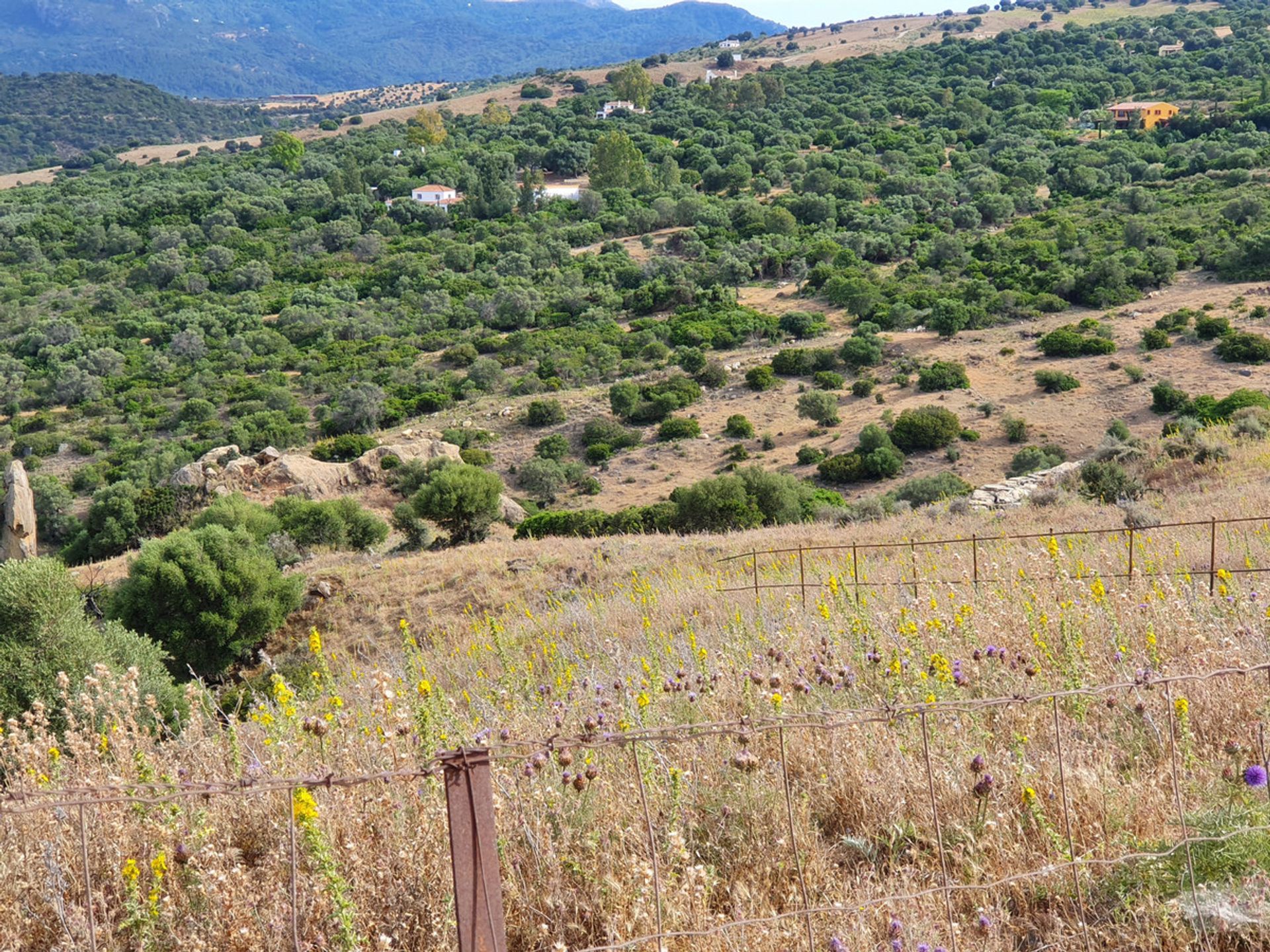 Tanah dalam Casares, Andalucía 10717304