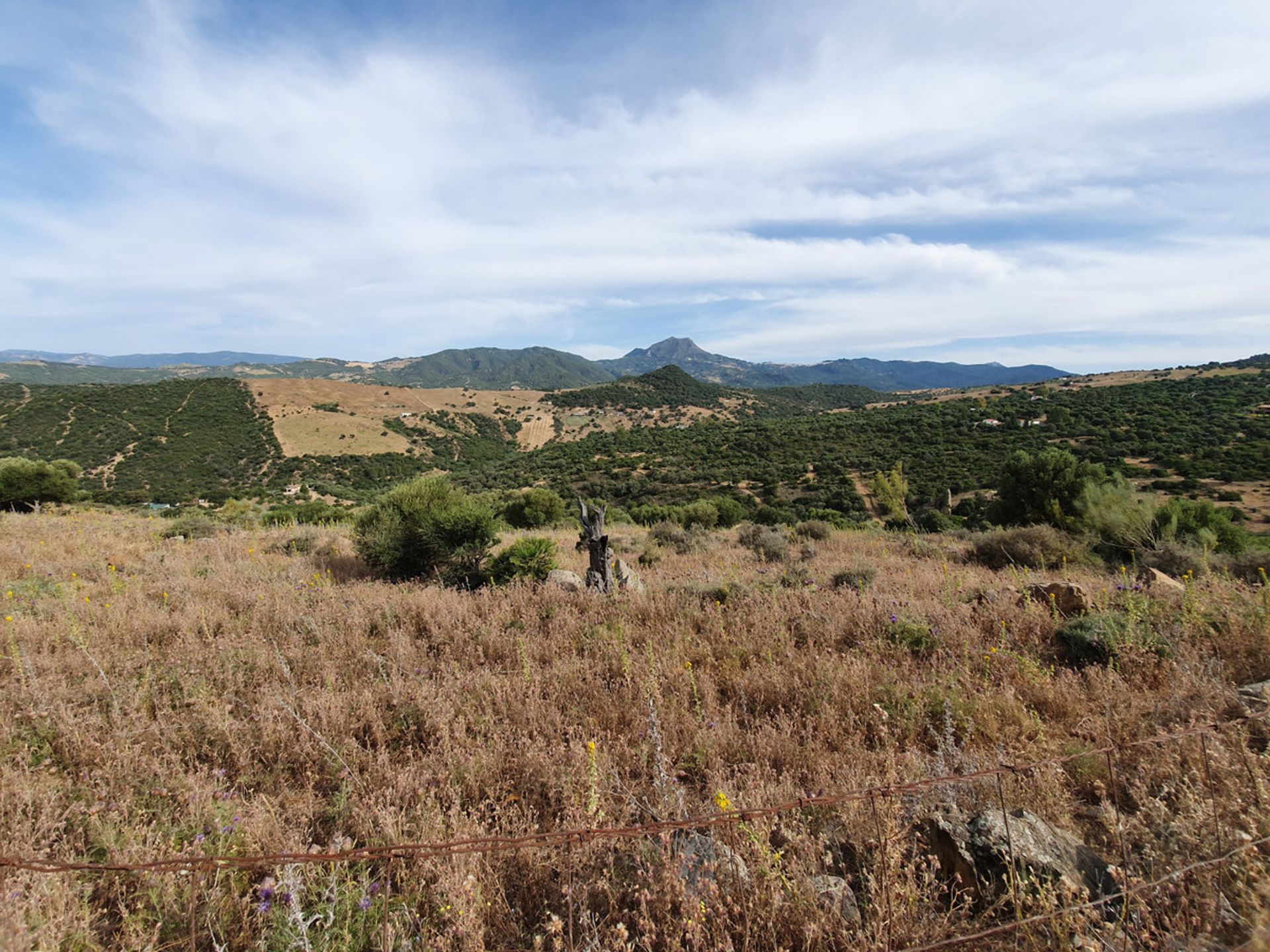 Tanah dalam Casares, Andalucía 10717304