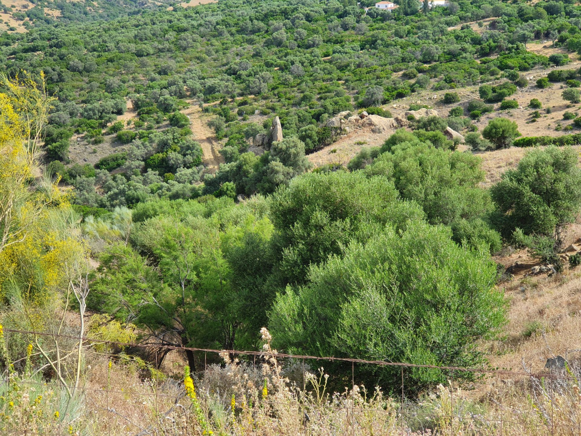 Tanah dalam Casares, Andalucía 10717304