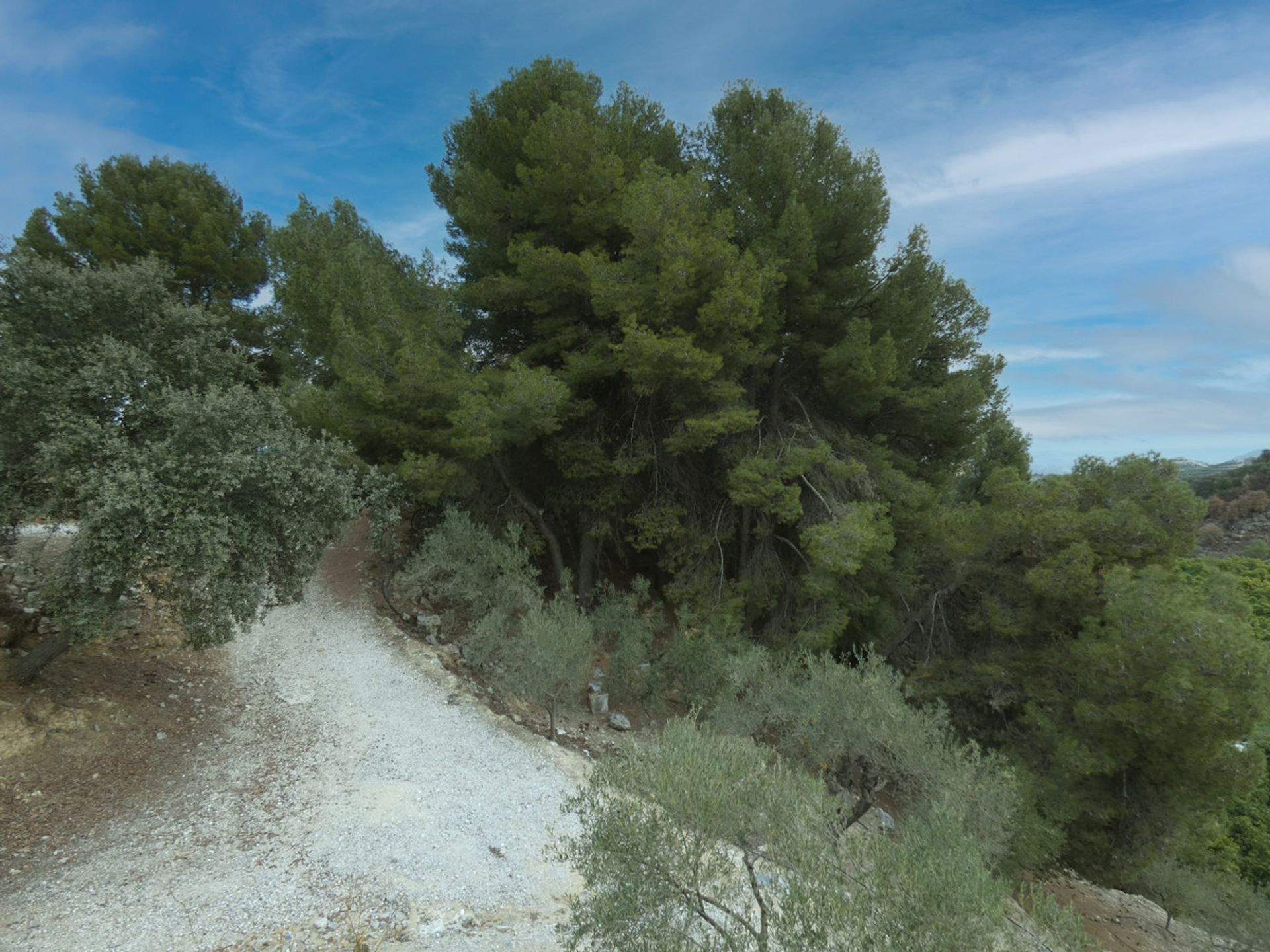 Dom w Coín, Andalucía 10717374