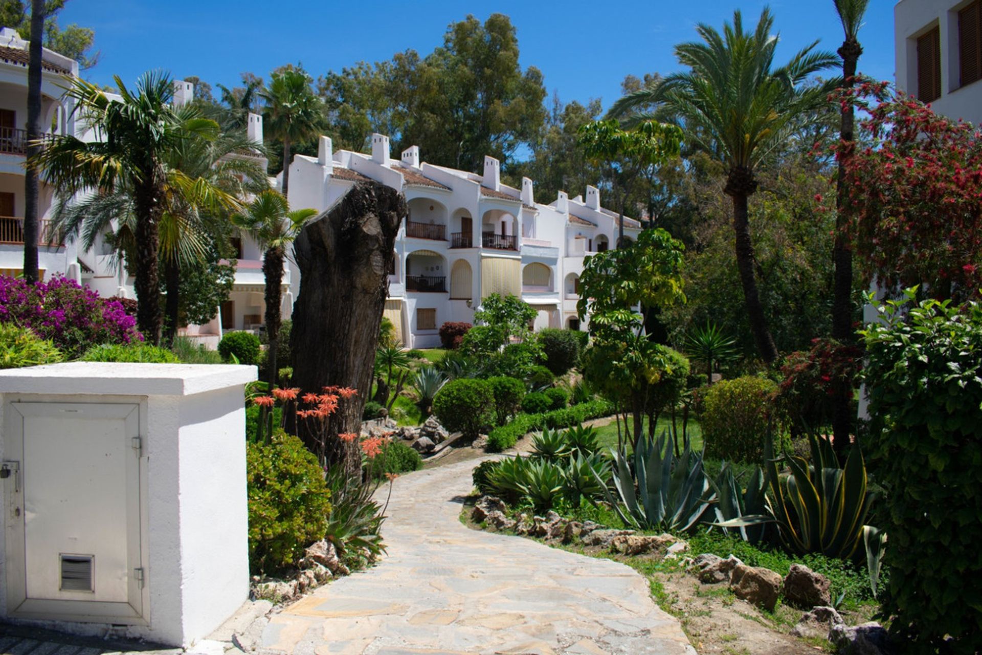 casa en San Pedro de Alcántara, Andalucía 10717421