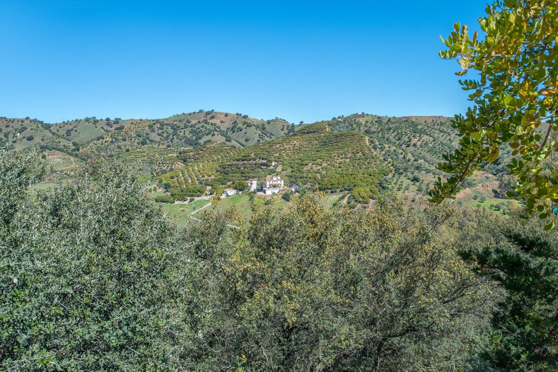 집 에 Coín, Andalucía 10717443