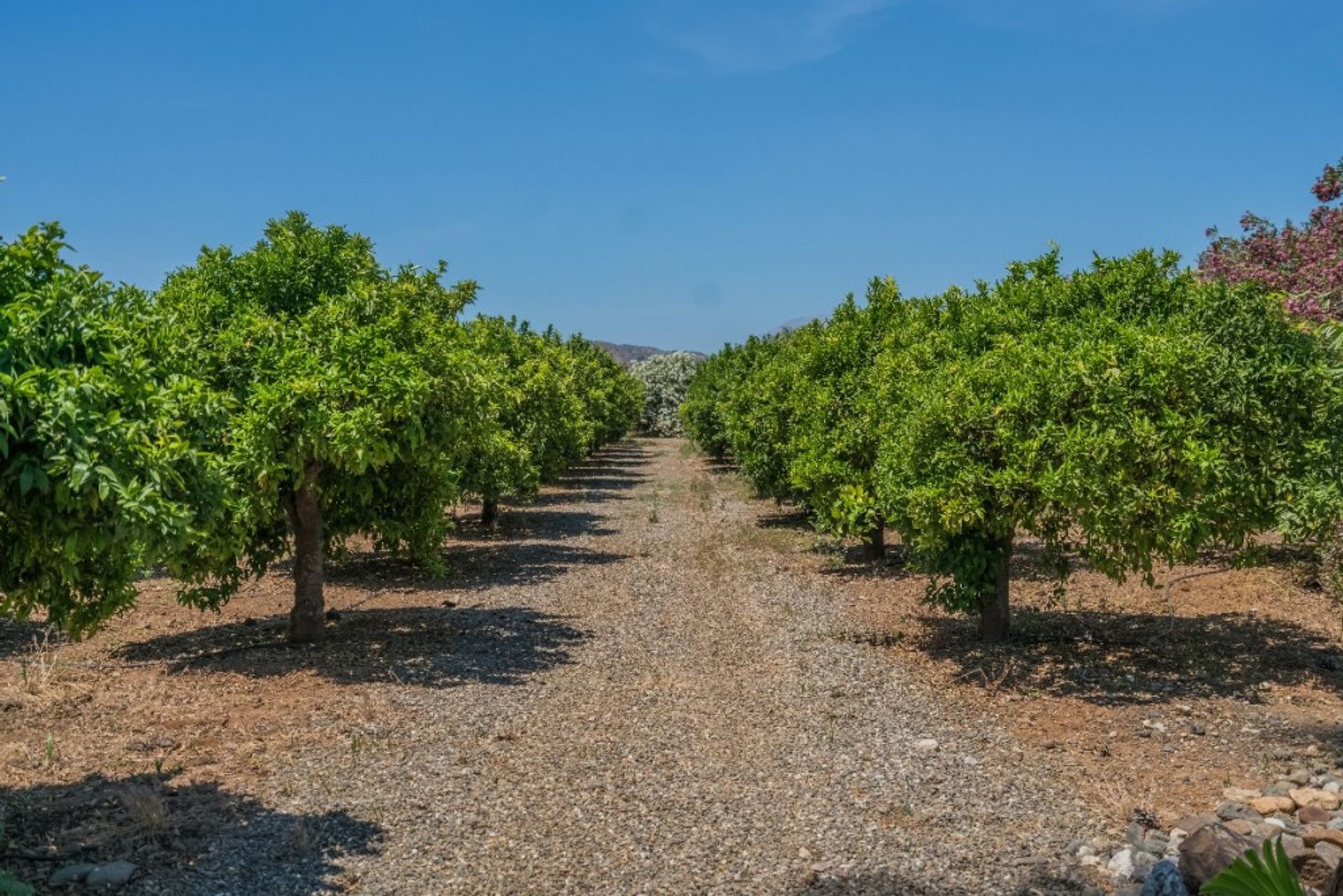 Будинок в Coín, Andalucía 10717478