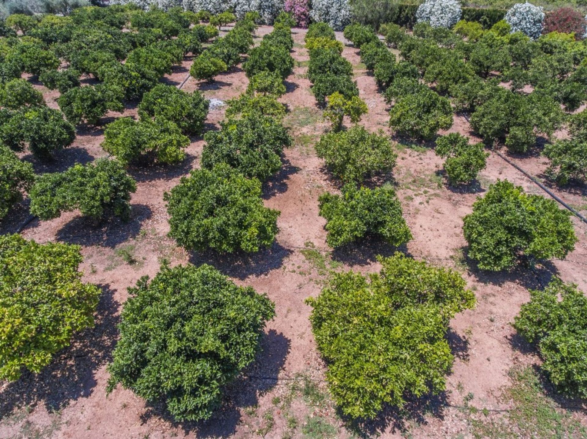 Будинок в Coín, Andalucía 10717478