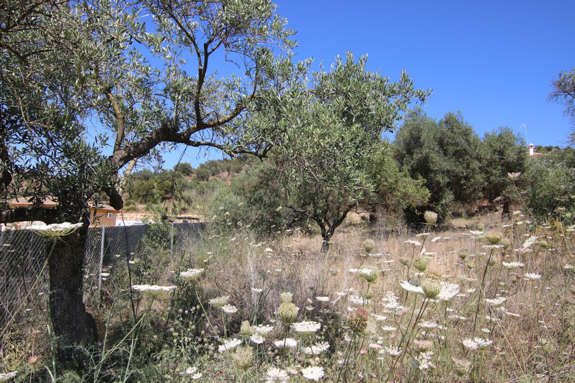 Земля в Coín, Andalucía 10717486