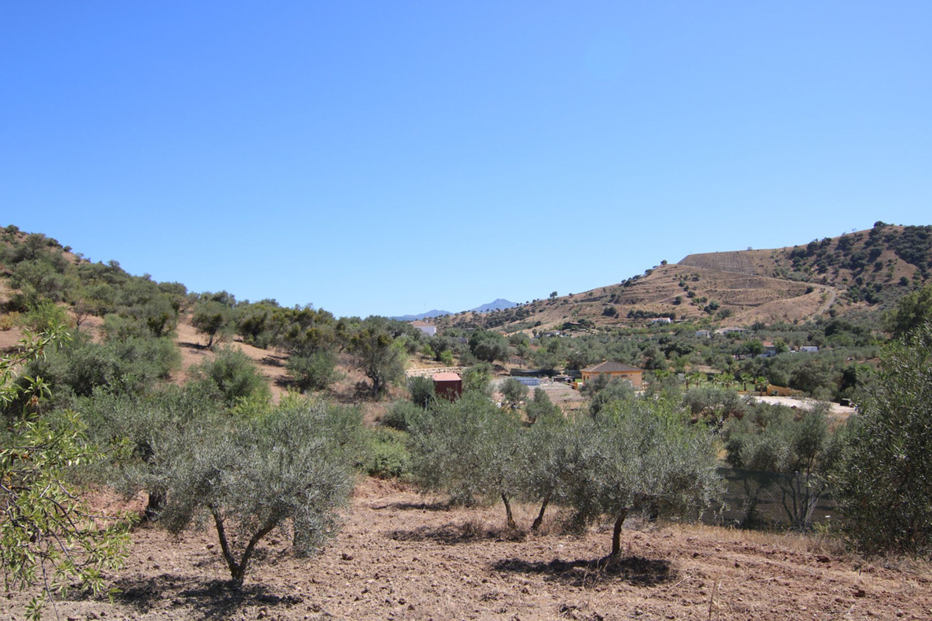 Земля в Coín, Andalucía 10717486